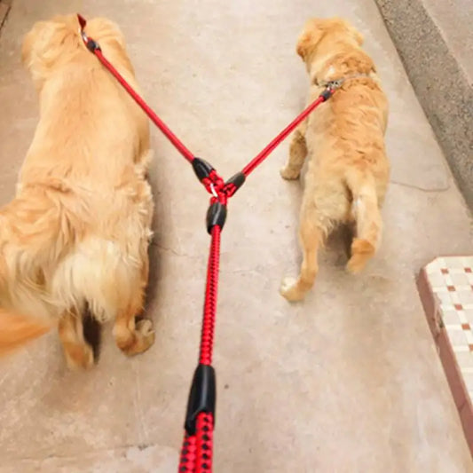 Dual Dog Leash